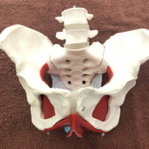 吹田市江坂の産後骨盤矯正